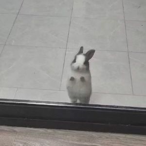 Meet your Posher, Riley